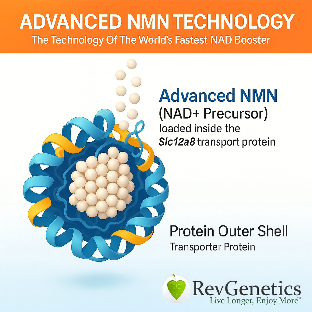 Advanced NMN 1000: Nicotinamide Mononucleotide