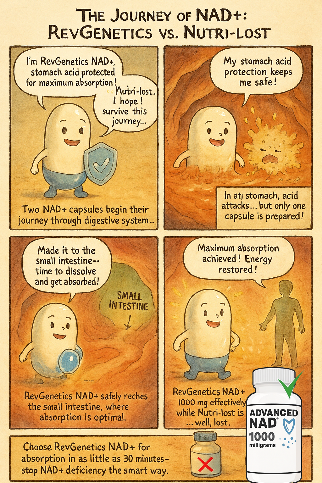 Advanced NAD 1000 mg: 60 500mg Capsules - NAD Supplement