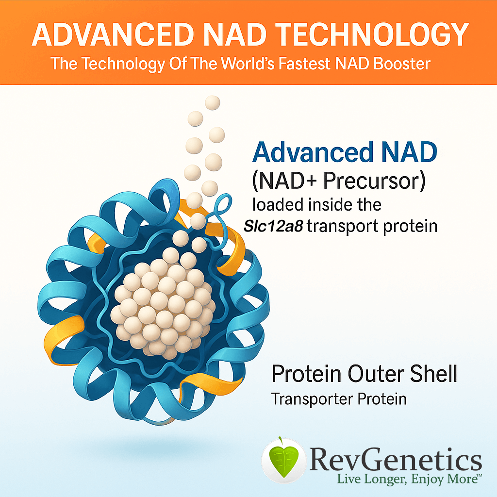 Advanced NAD 1000 mg: 60 500mg Capsules - NAD Supplement