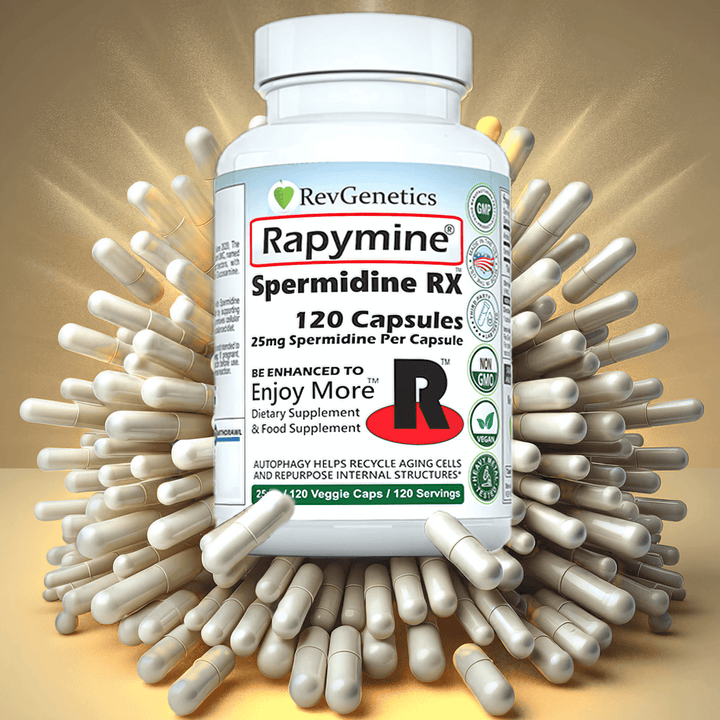 25mg Spermidine - 120 Capsules - RevGenetics Rapymine®